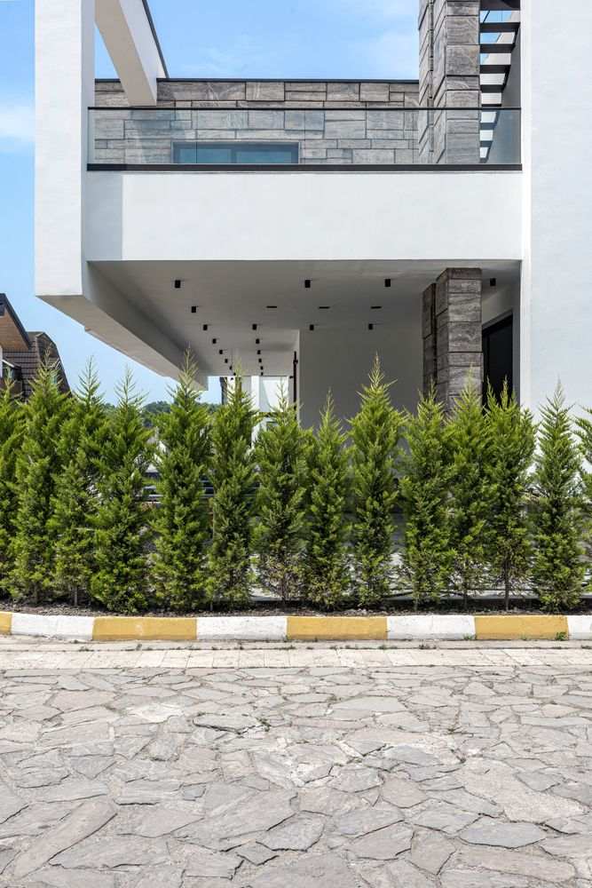 picture no. 14 of Ananas Villa project, designed by Mohammad Reza Kohzadi