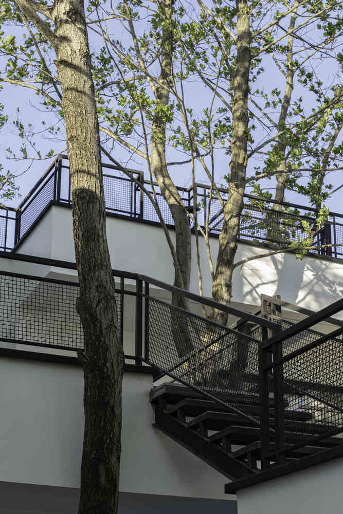 picture no. 10 of Tree House project, designed by Mohammad Reza Kohzadi