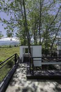 thumbnail of picture no. 15 of Tree House project, designed by Mohammad Reza Kohzadi