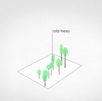 thumbnail of picture no. 3 of Tree House project, designed by Mohammad Reza Kohzadi